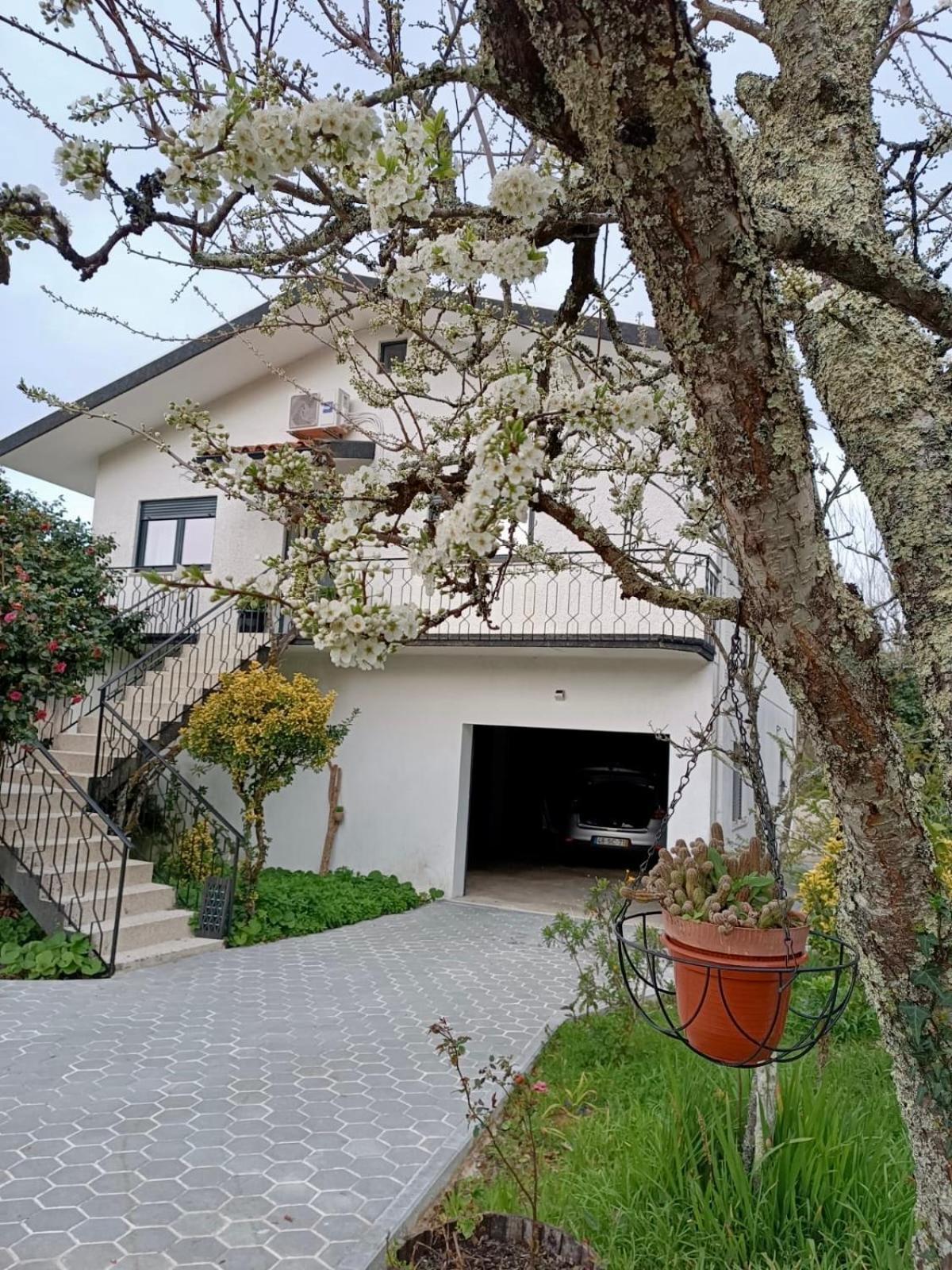 Вілла Casa De Fraguas Арока Екстер'єр фото